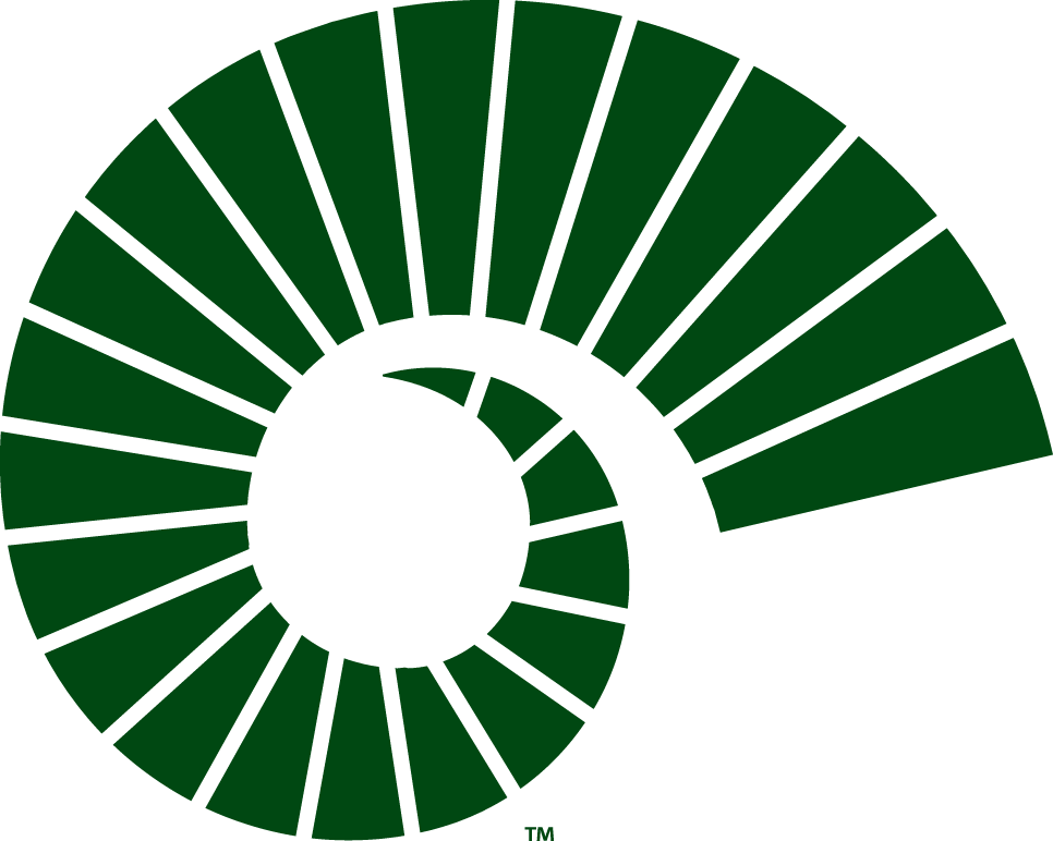 Colorado State Rams 2015-Pres Alternate Logo v2 iron on transfers for T-shirts